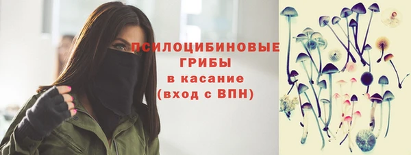 скорость Дмитриев