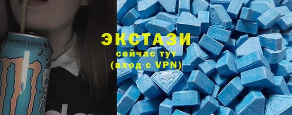прущие грибы Гусиноозёрск