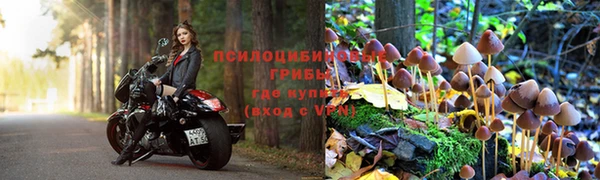 скорость Дмитриев