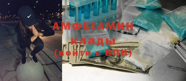 прущие грибы Гусиноозёрск
